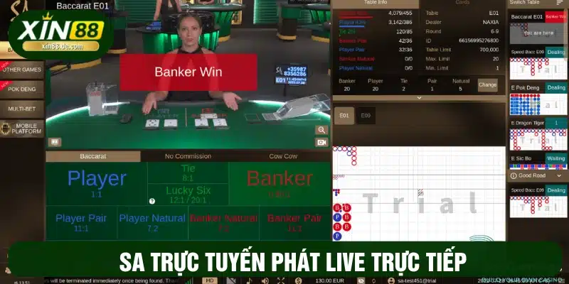 Bet thủ tham gia cược được xem live trực tiếp